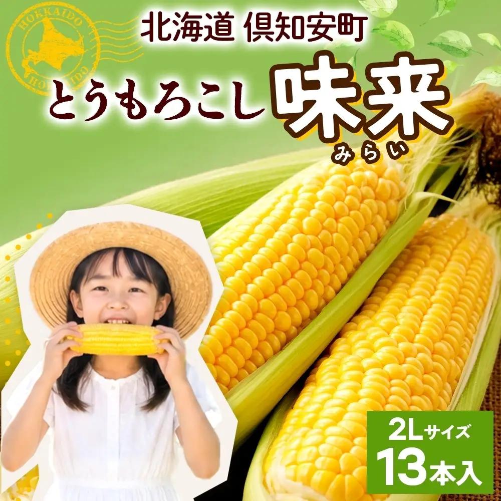とうもろこし 味来 2Lサイズ 13本 約5kg 北海道産 朝もぎ イエロー コーン みらい