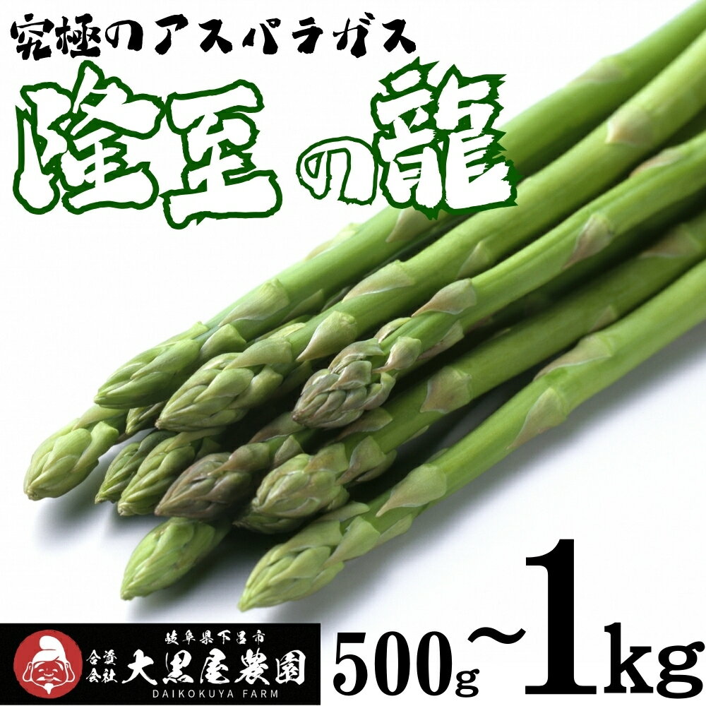 【ふるさと納税】先行予約【期間限定】（2026年5月から順次発送）高級アスパラガス 隆至の龍 500g（約25本入り）レギュラーサイズ アスパラ 下呂市 限定 こだわり ブランド【大黒屋農園】