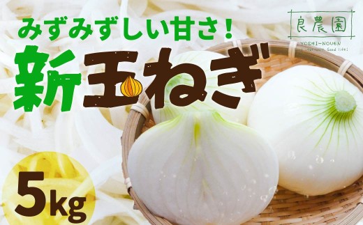 新玉ねぎ 5kg  | 減農薬 野菜ソムリエ みずみずしい 旬野菜 生野菜 サラダ ギフト レシピ 贈り物 国産 朝採れ 新鮮野菜 産直 良農園 群馬県 前橋市