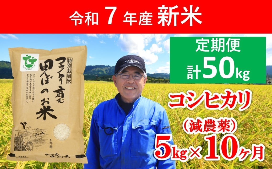 
            令和7年産 新米 定期便 特別栽培米コシヒカリ 5㎏×10か月 【 令和7年産 減農薬 特別栽培米 定期便 コシヒカリ コウノトリ 安心 安全 高リピート 人気 村上ファーム 】
          