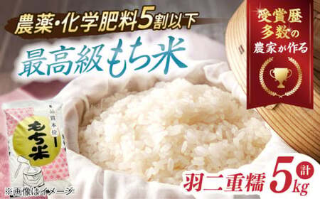 もち米【特別栽培米】羽二重糯（はぶたえもち）5kg[AQCQ008] もち米