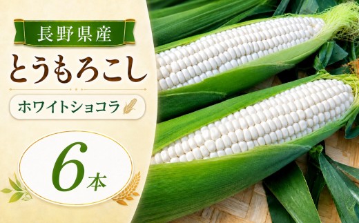 とうもろこし ホワイトショコラ 6本 | 農家直送 トウモロコシ 甘い 野菜 ジューシー みずみずしい 生食 茹で 焼き 栄養 おやつ 長野県 南信州 飯田市