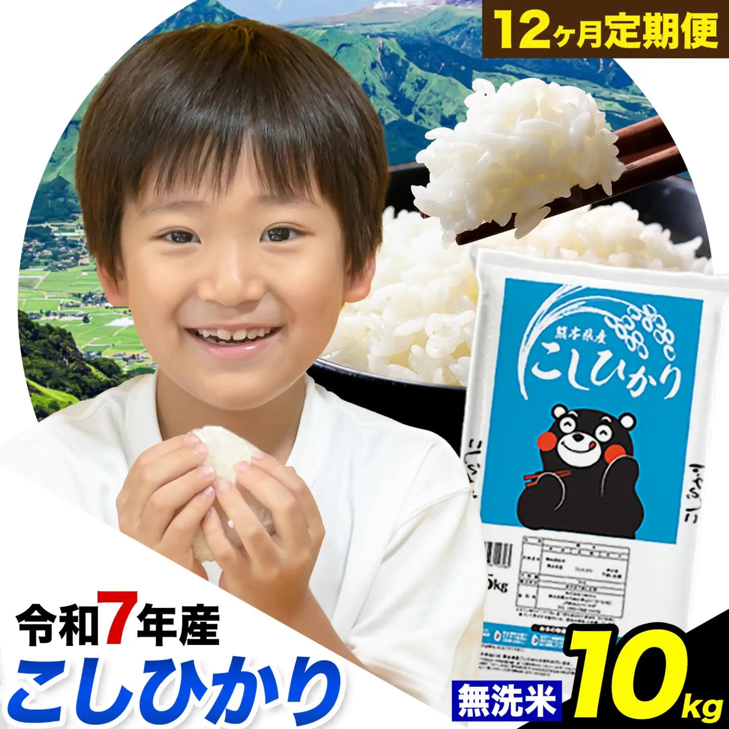【12ヶ月定期便】令和7年産 定期便 こしひかり 無洗米 定期便 10kg 精米 熊本県産(南阿蘇村産含む)  南阿蘇村《お申込み翌月から出荷》｜人気米 熊本県産米  生活応援米