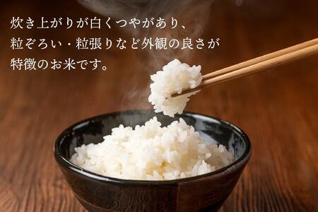 令和6年産 青森県産 まっしぐら 5kg 精米 白米 お米　