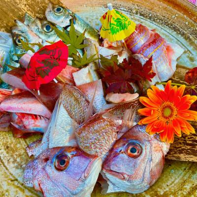 ふるさと納税 有田川町 料理店直送 漁師がすすめ料理人がさばく!船上買付のお魚詰め合わせ 体験!魚料理39BOX 5〜6人前 |  | 02