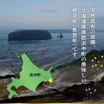 ふるさと納税 浜中町 《数量限定》根昆布(100g×6袋)_H0007-114 |  | 01