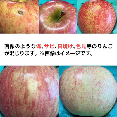 【10月下旬より発送開始】産地直送 青森県産ぐんま名月 3キロ箱 6～14玉 青森県産りんご【配送不可地域：離島】