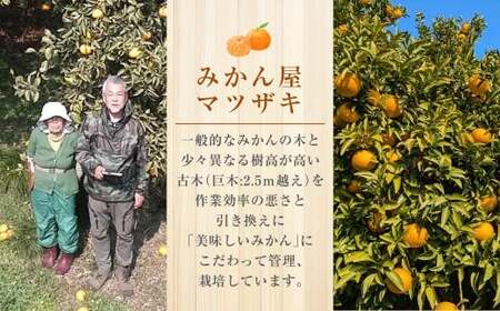【樹上完熟】長崎みかん（ 甘夏みかん ）約5kg みかん フルーツ 甘夏 果物 くだもの ミカン 蜜柑 長崎  【2026年4月上旬-6月上旬発送予定】