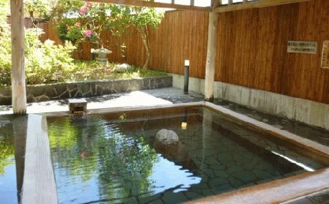 吉岡温泉ゆとらぎ館 入浴回数券(12枚つづり) FKB006