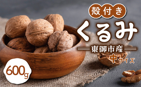信濃くるみ 殻付き 600g（中サイズ） 【長野県東御市産ブランド】NHKでも紹介♪ 令和7年産 新物 国産※2025年11月中旬以降発送（月、火、金曜日発送限定、曜日、日付指定不可）