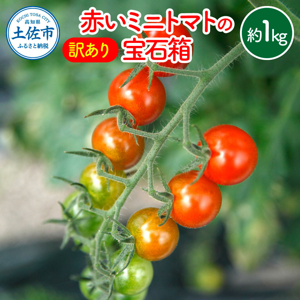
                  訳あり 赤いミニトマトの宝石箱 約1キロ 約1kg トマト とまと ミックス 詰め合わせ セット 野菜 料理 サラダ マリネ パスタ 浅漬け おやつ 弁当 甘味 酸味 新鮮【ファーム輝】 [BQBM009]
                