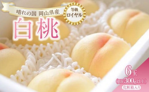 桃 2026年 白桃 6玉（1玉300g以上） 等級： ロイヤル 化粧箱入り もも モモ 岡山県産 国産 フルーツ 果物 ギフト
