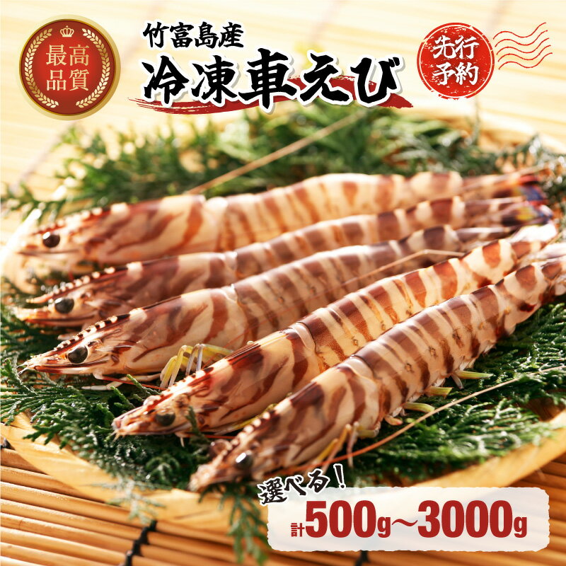 【ふるさと納税】先行予約 車えび 500g〜3kg【内容量が選べる！】【海老車エビエビ車海老500g 1kg 3kg 竹富島産 冷凍】お届け：2026年1月〜2月