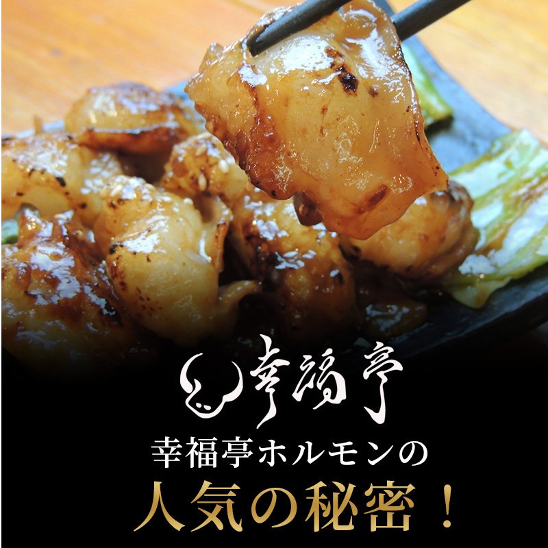 【訳あり】 定期便 隔月3回 国産牛 大トロホルモン 西京味噌焼き 500g×3回 計1.5kg | 冷凍 西京味噌焼き みそ焼き 小分け100g 味付ホルモン 牛ホルモン 牛モツ 人気ホルモン 焼肉