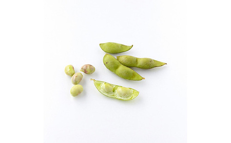 【先行予約】令和6年産！丹波篠山産黒枝豆（サヤのみ）1kg×2袋《初摘み》10／7～10／13の間に発送 AQ16