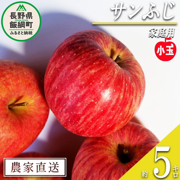 【ふるさと納税】 りんご サンふじ 家庭用 ( 小玉 ) 5kg 丸山りんご園 沖縄県への配送不可 令和7年度収穫分 長野県 飯綱町 〔 信州 果物 フルーツ リンゴ 林檎 長野 11000円 予約 農家直送 〕発送時期：2025年12月中旬〜2025年12月下旬 {**}