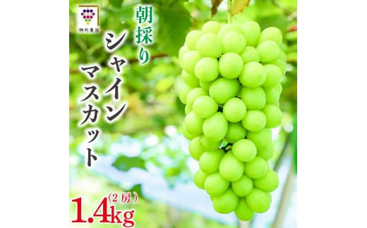【先行予約】 シャインマスカット 2房 約1.4kg ＜出荷時期：2025年8月下旬～2025年9月下旬頃＞フルーツ ぶどう 葡萄 【内祝い 内祝 お祝い 御祝い 御祝 お礼 御礼 プレゼント ギフト 贈り物 御所農園 徳島県 阿波市 】