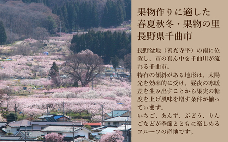 【2025年先行予約】【りんごの宝石箱】 信州産りんご 詰め合わせセット 約5kg 旬のりんご品種を3種以上厳選 千曲市産りんご 長野のりんご