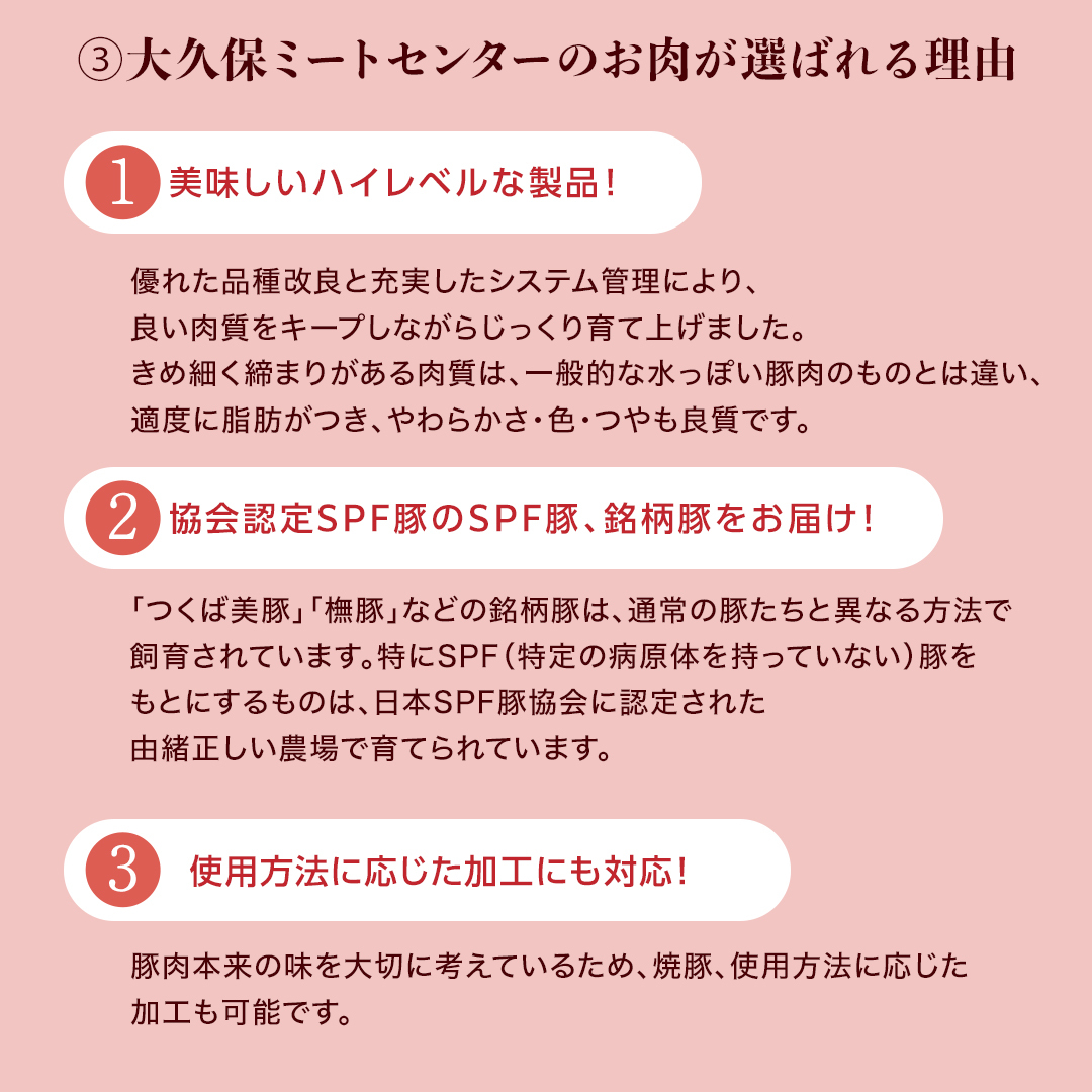 【 常陸の輝き 】 豚 ロース＆バラスライス＆切り落とし＆挽肉 贅沢 セット（合計約3.4kg） (茨城県共通返礼品) 国産 国内産 豚肉 ポーク ミンチ ひき肉 挽き肉 ハンバーグ ミートソース ミ