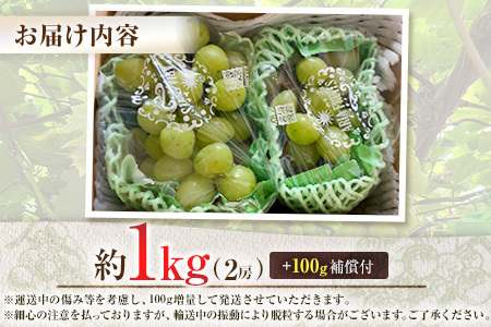 ＜先行予約＞シャインマスカット 2房 約1kg+100g補償付 ※2026年8月下旬～【B606-26】