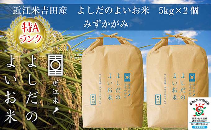 【新米】令和6年産　よしだのよいお米 近江米みずかがみ5kg×2