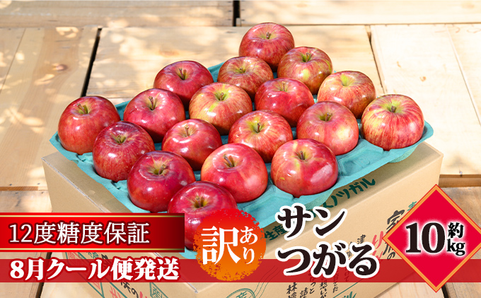 【8月クール便発送】（12度糖度保証）訳ありサンつがる約10kg【弘前市産・青森りんご】