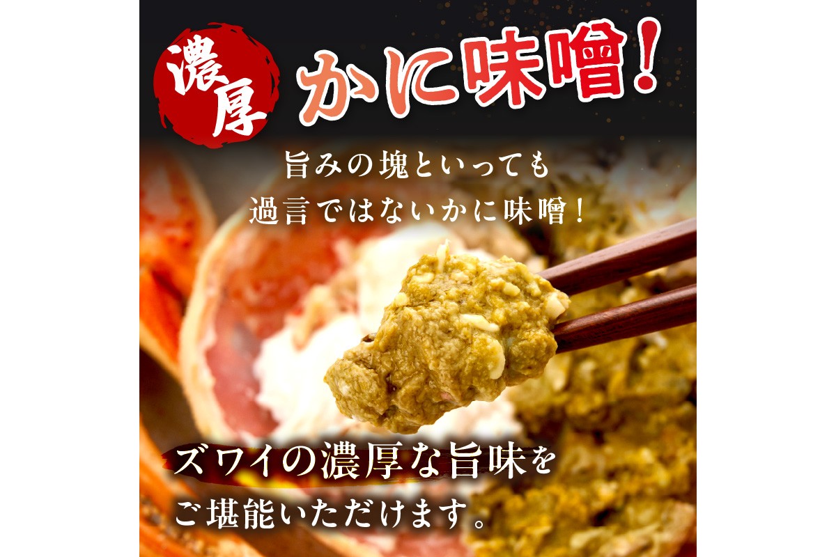 【大好評！カニ酢付き】訳あり！釜茹で！本ずわいがに姿 1匹（500g前後）　YK00169