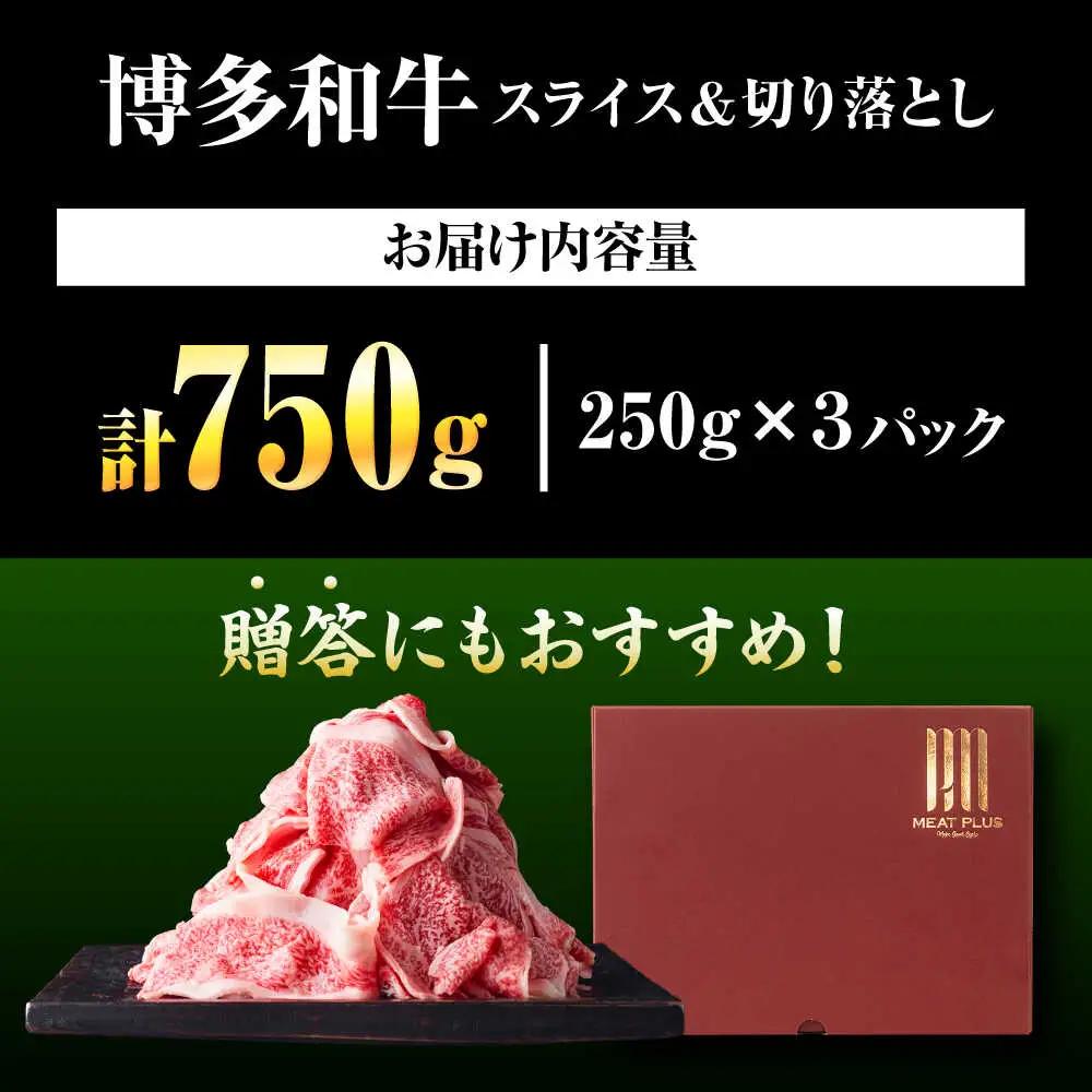 【A4-A5】博多和牛 大判霜降り 贅沢切り落とし 750g (250g×3P) [BGAB110]