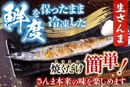 甘塩紅鮭5切×2P・冷凍生さんま5尾×2P A-76008