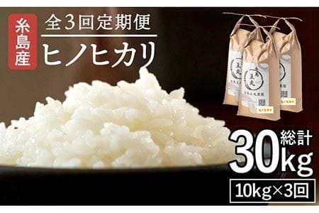 【全3回定期便】糸島産ヒノヒカリ10kg×3回 糸島市 / 糸島王丸農園(谷口汰一)【いとしまごころ】 [AAZ015] 米 5kg 送料無料 白米 玄米 精米 分つき 山水 ヒノヒカリ お米