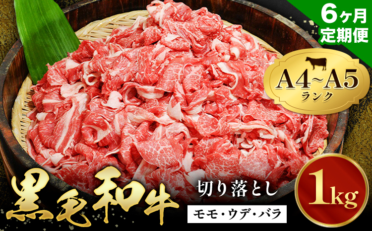 【6ヶ月定期便】 黒毛和牛 切り落とし 小分け 1kg 定期便 A4～A5ランク 田中畜産 《お申込み月の翌月から出荷開始》 熊本県 苓北町 ミシュラン ビブグルマン 国産 肉 牛肉 黒毛 和牛 赤身 カレー 肉じゃが 牛丼 生姜焼き 炒めもの 煮込み 便利 使い勝手抜群 天草 産地直送---ac01r605_3---