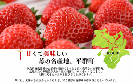 平群の古都華 いちご 2Lサイズ （2パック×2ケース） 計4パック 辻本農園 2025年1月発送 | 果物 くだもの フルーツ 苺 イチゴ いちご ストロベリー 古都華 ことか 旬の品種 産地直送 