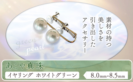 あこや真珠(8.0mm-8.5mm)ホワイトグリーン イヤリング 　真珠