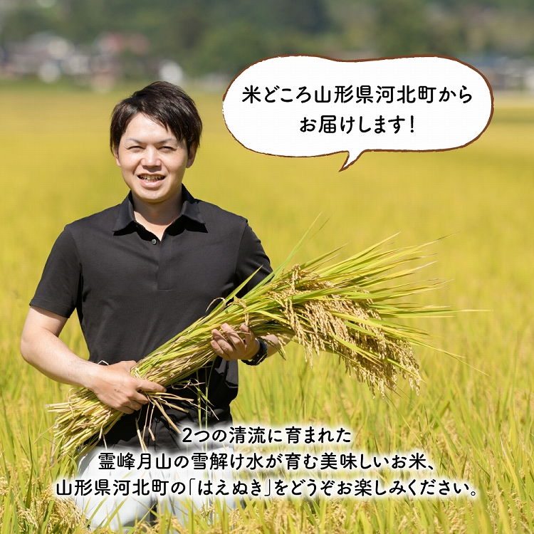 【令和6年産米】2025年8月上旬発送 はえぬき10kg（5kg×2袋）山形県産 【JAさがえ西村山】