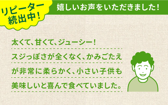 【6回定期便】【2025年2月初回発送】【星のアスパラ】春＆夏 の グリーン アスパラガス 約1kg / アスパラ 春野菜 野菜 / 南島原市 / ほしのYA [SEY011]