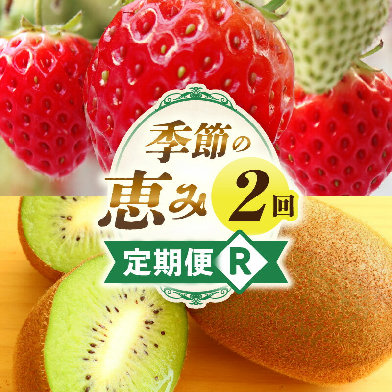 【ふるさと納税】季節の恵み2回定期便R 果物 フルーツ 青果 青果物 デザート スイーツ 果実 旬 季節 旬の果物 季節の果物 生鮮食品 生鮮 贈答 贈り物 ギフト プレゼント おすそ分け ご褒美 人気 グルメ お取り寄せ 特産品 特産 国産 香川県 三木町 レビューキャンペーン