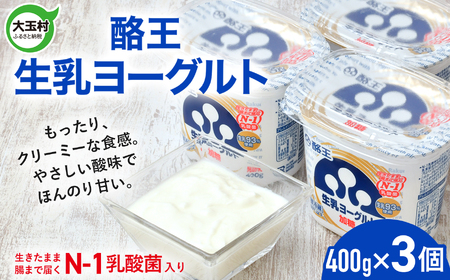 ヨーグルト 加糖400g×3個酪王 ヨーグルト ヨーグルト ヨーグルト