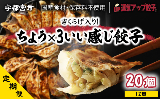 
『定期便』宇都宮餃子　ちょう×3いい感じ餃子　保存料不使用　全12回【配送不可地域：離島】
