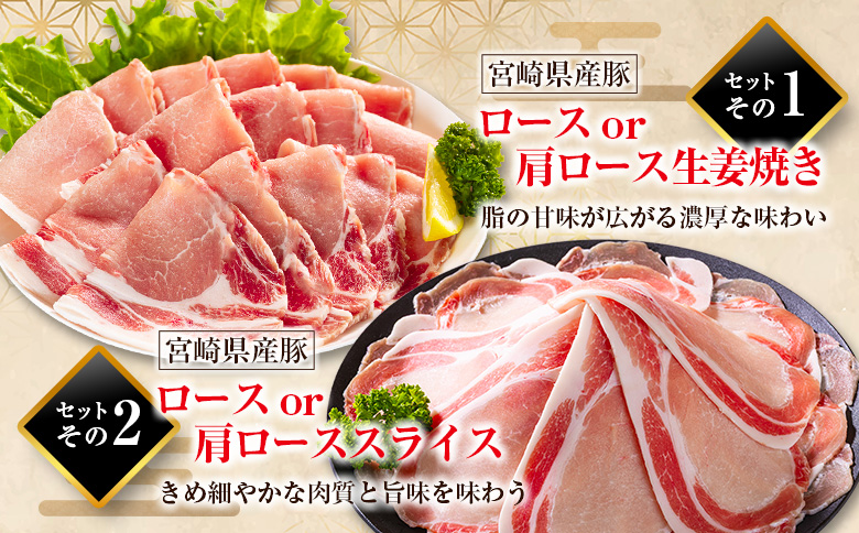 《総量10kg以上!!》豚肉 3回 隔月 定期便 バラエティセット 宮崎県産 食べ比べ 国産【E273】