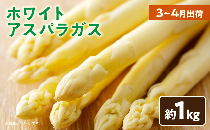 
            ホワイトアスパラガス約1kg（3～4月出荷）|アスパラ アスパラガス ホワイトアスパラガス 新鮮 素材の味 春野菜 直送 香川県 三木町|_mk002-001
          