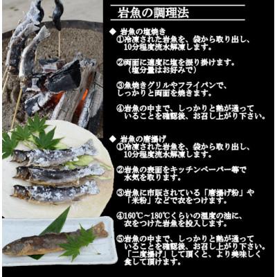 ふるさと納税 最上町 冷凍岩魚(腹抜き)　10尾 |  | 03
