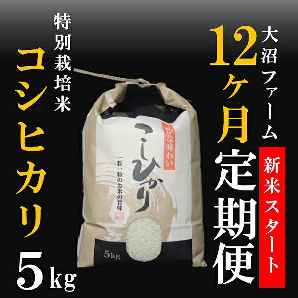 【ふるさと納税】令和8年10月・新米スタート【定期便12回】大沼ファームの特別栽培米コシヒカリ5kg