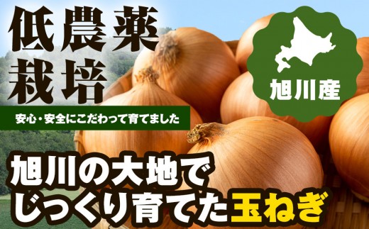 【先行予約】農家直送 低農薬 旭川産 玉ねぎＬサイズ10kg(2026年9月発送開始予定)_06552