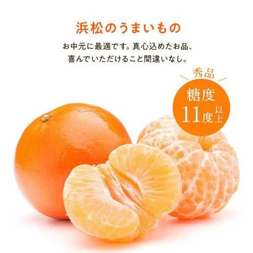 浜松市産 JAとぴあ浜松 ハウスとぴあみかん 秀Sサイズ 約2.5kg 約30個入り 糖度11度以上 みかん ミカン 静岡 浜松市