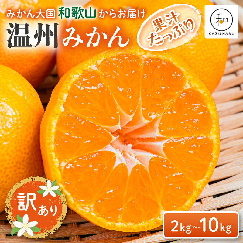 【ふるさと納税】【訳あり】 森本農園の手選別 みかん 約2～10kg 和歌山県産 2S~2Lサイズ混合 【北海道・沖縄・離島配送不可】【2025年11月上旬～2026年2月中旬ごろに順次発送】【RN8】 | みかん 蜜柑 フルーツ 果物 くだもの 食品 人気 おすすめ 送料無料