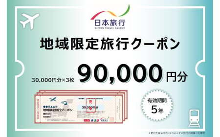 福井県敦賀市 日本旅行 地域限定旅行クーポン 90,000円 [017-a005]【敦賀市ふるさと納税】