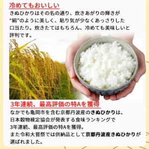 【無洗米】丹波産キヌヒカリ 10kg 無洗