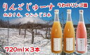 【ふるさと納税】りんご 林檎 リンゴ りんごじゅーすミックス（紅玉1本・サンふじ2本） セット 720ml×3本 ジュース フルーツ フルーツジュース アップル アップルジュース 果物 くだもの 瓶 ビン 贈答用 贈答 ギフト お中元【うわのリンゴ園】岩手県 滝沢市 送料無料