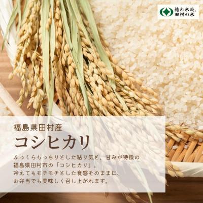 ふるさと納税 田村市 【 令和7年産 】 無洗米 田村市産 コシヒカリ 精米 5kg |  | 01