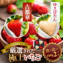 【ふるさと納税】古都華・ゆきぼたん 250g×各1P／奈良県 苺 先行予約 ジャム 数量限定 期間限定 ブランド 人気 ギフト プレゼント 食べ比べ いちご 白 J-berryグループ「ICHIGO」 前田ストロベリー研究所